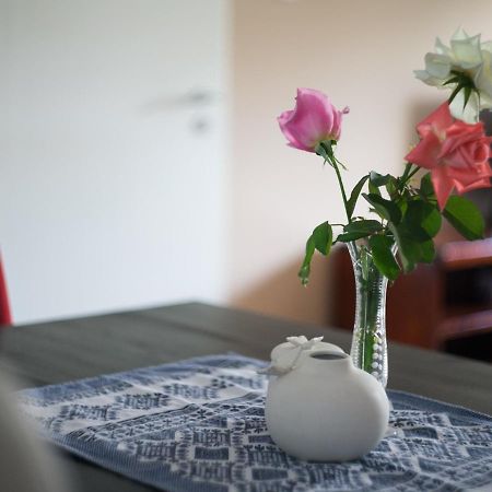 Apartment Maric 特雷比涅 外观 照片