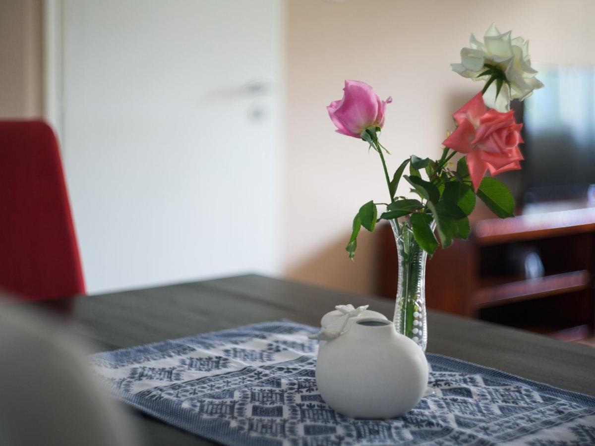 Apartment Maric 特雷比涅 外观 照片
